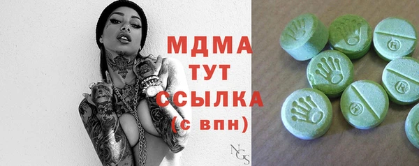 PSILOCYBIN Алзамай