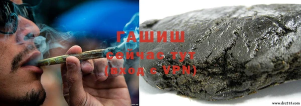 PSILOCYBIN Алзамай