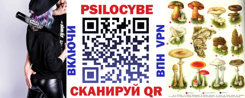 Псилоцибиновые грибы Cubensis  Игарка 